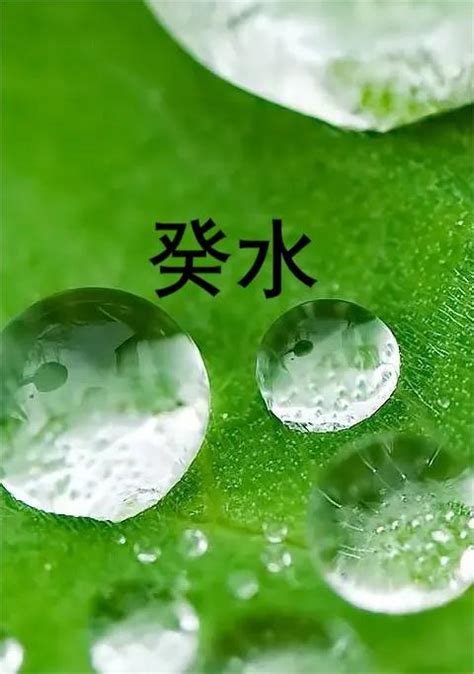 日主：壬水|壬水